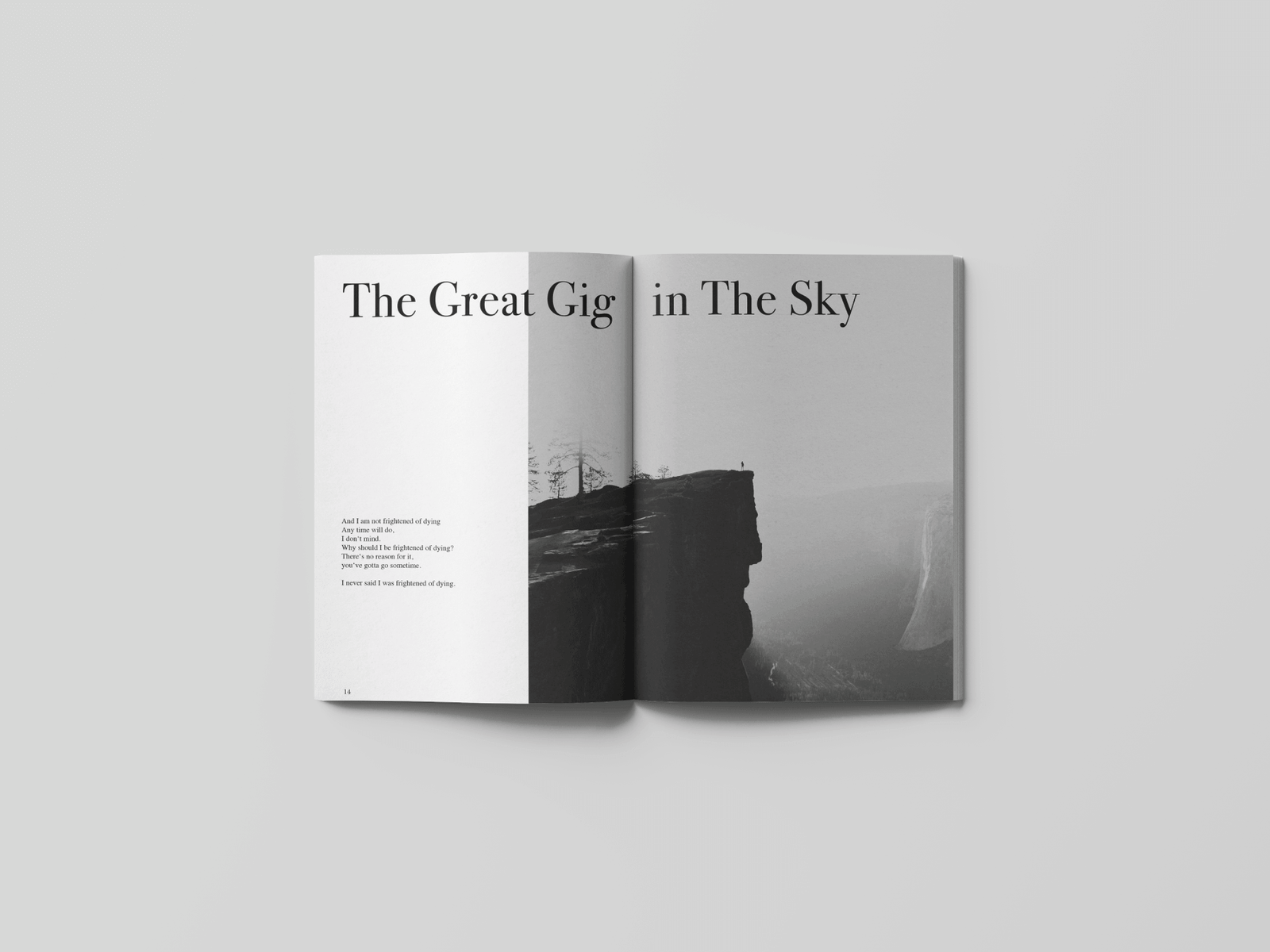 pinkfloyd-grau-07
